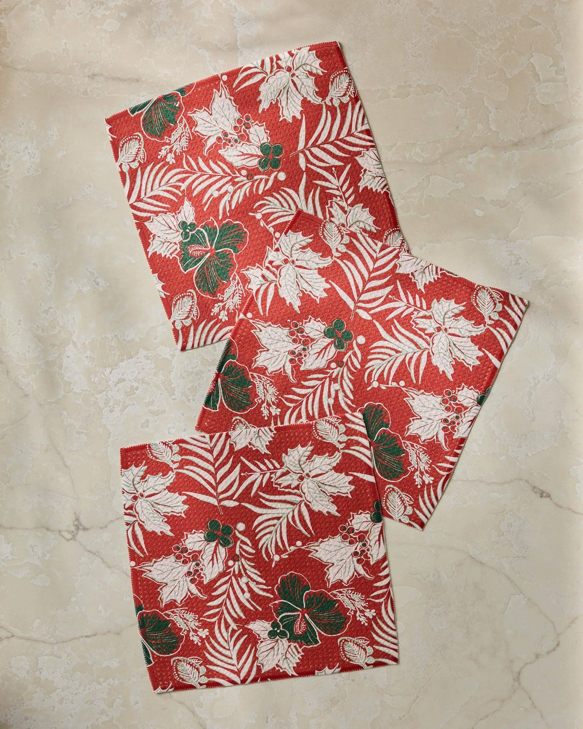 Aloha Winters Dishcloth Set by Geometry