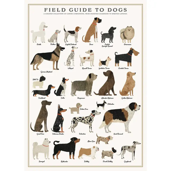 Dogs 500-Piece Puzzle with Vintage Illustrations