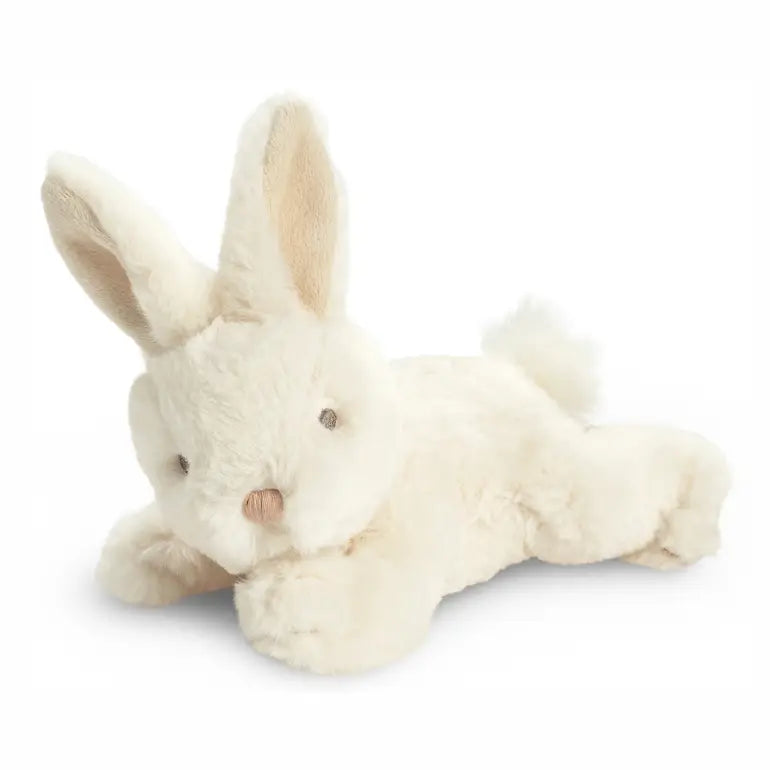 You Belong Here Book and Matching Bunny